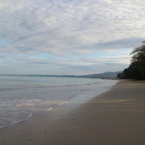 фото из отзыва ID 1458861