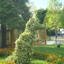 фото из отзыва ID 1458867