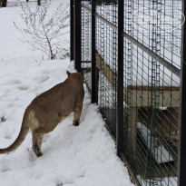 фото из отзыва ID 1458926