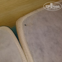 фото из отзыва ID 1459122