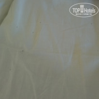 фото из отзыва ID 1459122