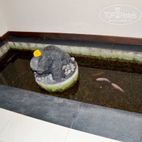 фото из отзыва ID 1459184