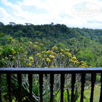 фото из отзыва ID 1459261