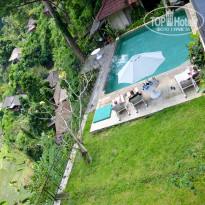 фото из отзыва ID 1459261