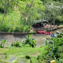 фото из отзыва ID 1459261