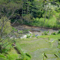 фото из отзыва ID 1459261