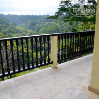 фото из отзыва ID 1459261