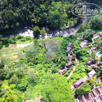 фото из отзыва ID 1459261