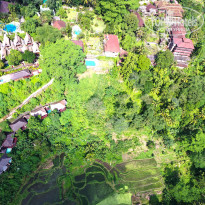 фото из отзыва ID 1459261