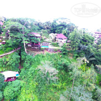 фото из отзыва ID 1459261