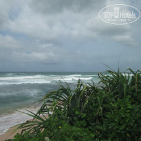 фото из отзыва ID 1459279