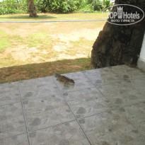 фото из отзыва ID 1459279