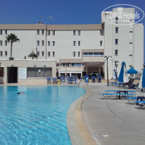 фото из отзыва ID 1459282