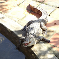 фото из отзыва ID 1459324