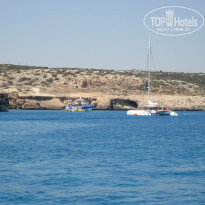 фото из отзыва ID 1459390