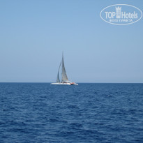 фото из отзыва ID 1459390