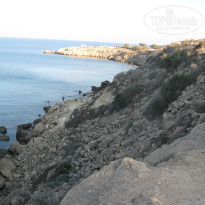 фото из отзыва ID 1459390