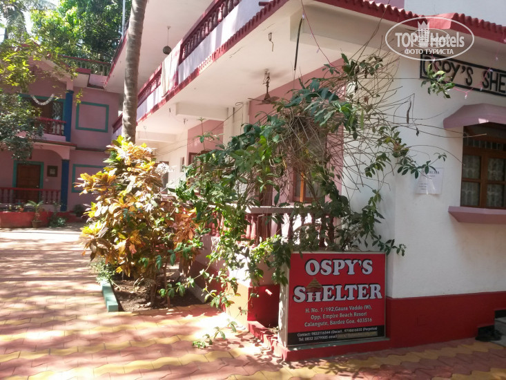 New photos from tourists Ospys Shelter