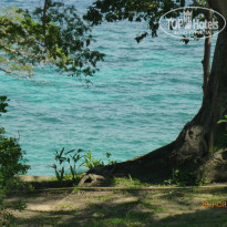 фото из отзыва ID 1459542