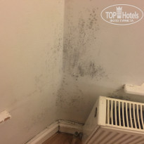 фото из отзыва ID 1459566