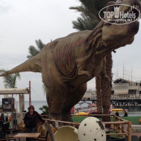 фото из отзыва ID 1459568