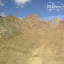 фото из отзыва ID 1459568