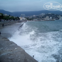 фото из отзыва ID 1459607