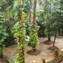 фото из отзыва ID 1451270