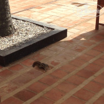 фото из отзыва ID 1459661