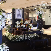 фото из отзыва ID 1459666