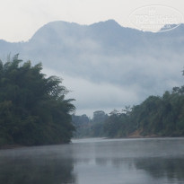 фото из отзыва ID 1459674