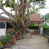 фото из отзыва ID 1459834