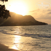 фото из отзыва ID 1459862