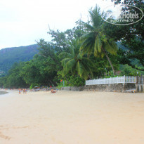 фото из отзыва ID 1459862