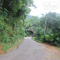 фото из отзыва ID 1459862