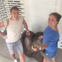 фото из отзыва ID 1459862