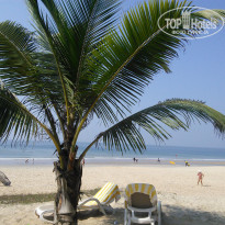 фото из отзыва ID 1459865