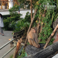 фото из отзыва ID 1457052