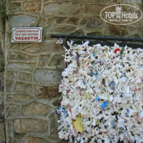 фото из отзыва ID 1459919