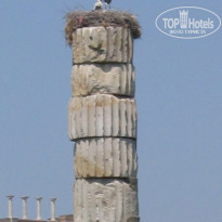 фото из отзыва ID 1459919