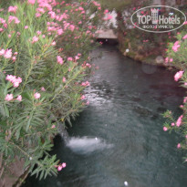 фото из отзыва ID 1459919