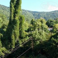 фото из отзыва ID 1457660