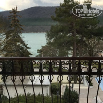 фото из отзыва ID 1452068