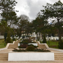 фото из отзыва ID 1452068