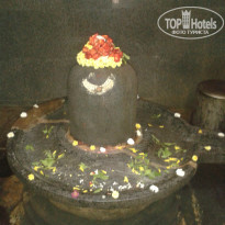 фото из отзыва ID 1454909