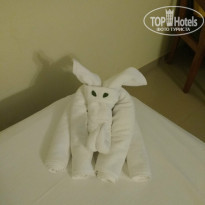 фото из отзыва ID 1455316