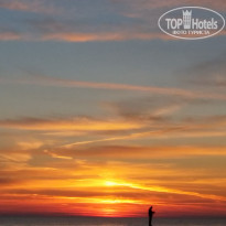 фото из отзыва ID 1454440