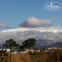 фото из отзыва ID 1454440