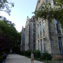 фото из отзыва ID 1455414