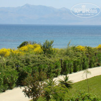 фото из отзыва ID 146106